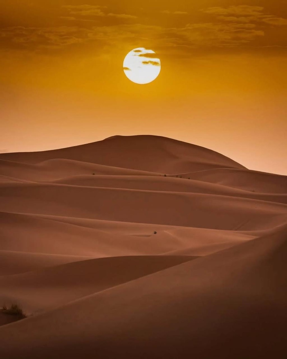 Sahara & Stars